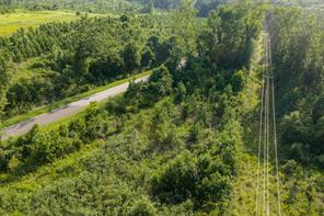 00 County Road 436 - Photo 19