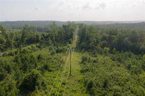 00 County Road 436 - Photo 2
