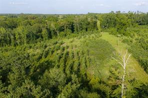 00 County Road 436 - Photo 20