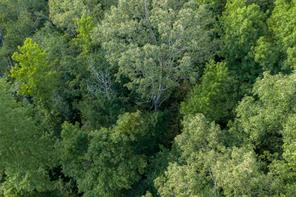 00 County Road 436 - Photo 21