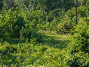 00 County Road 436 - Photo 22