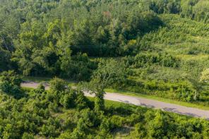 00 County Road 436 - Photo 23