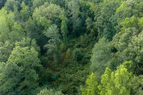 00 County Road 436 - Photo 25