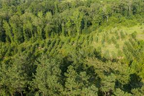 00 County Road 436 - Photo 27