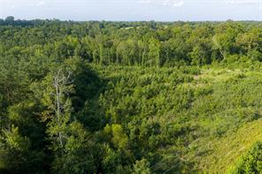 00 County Road 436 - Photo 28