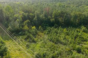 00 County Road 436 - Photo 29