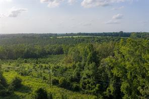 00 County Road 436 - Photo 3