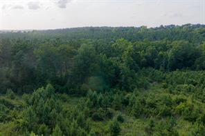 00 County Road 436 - Photo 34