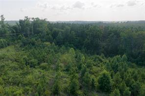 00 County Road 436 - Photo 35