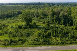 00 County Road 436 - Photo 4