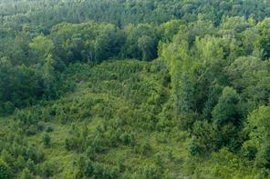 00 County Road 436 - Photo 5