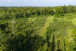 00 County Road 436 - Photo 6