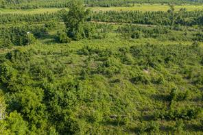 00 County Road 436 - Photo 8