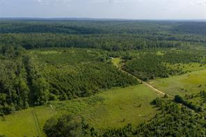 000 County Road 436 - Photo 1