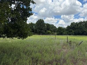 1363 County Road 527 - Photo 1