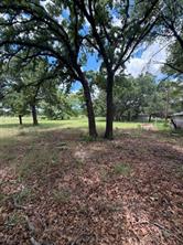1363 County Road 527 - Photo 10