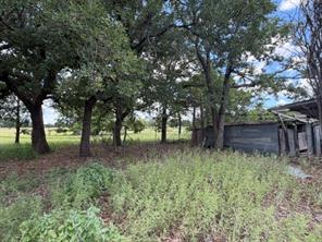1363 County Road 527 - Photo 13