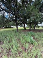 1363 County Road 527 - Photo 14