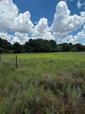 1363 County Road 527 - Photo 19