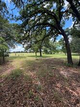 1363 County Road 527 - Photo 8
