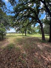 1363 County Road 527 - Photo 9