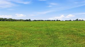 1640 County Road 185 - Photo 29