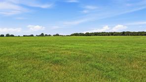 1640 County Road 185 - Photo 30