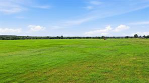 1640 County Road 185 - Photo 31