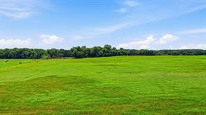 1640 County Road 185 - Photo 32