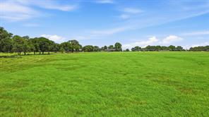 1640 County Road 185 - Photo 34