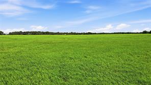 1640 County Road 185 - Photo 36