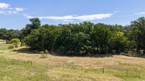 10202 S US Highway 377 - Photo 38