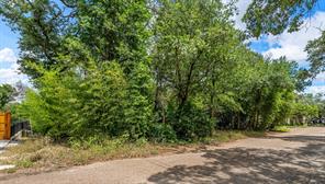 TBD Rainbow Drive - Photo 5