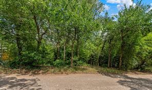 TBD Rainbow Drive - Photo 6