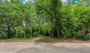 TBD Rainbow Drive - Photo 7