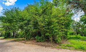 TBD Rainbow Drive - Photo 8