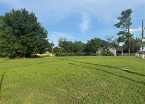 7902 Carbondale Street - Photo 1