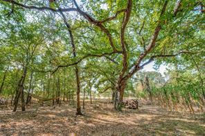 3863 New Hope Road - Photo 8