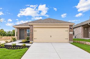 1276 Wild Cherry Way - Photo 1