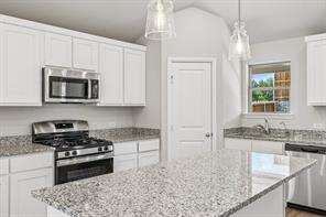 1276 Wild Cherry Way - Photo 3