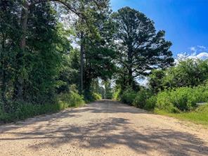 738 CR 1209 - Photo 23
