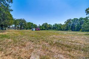 4105 Hickory Tree Road - Photo 7