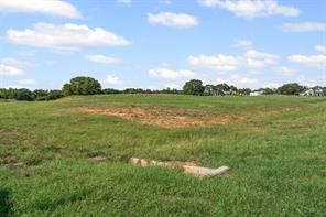 4001 Margarets Meadow - Photo 10