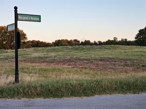 4001 Margarets Meadow - Photo 25