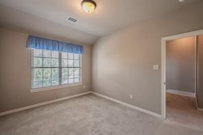 4017 Cascade Sky Drive - Photo 20