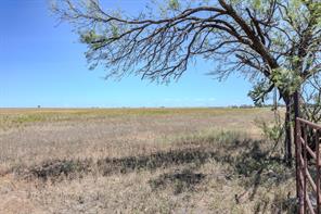 16572 FM 126 S - Photo 39