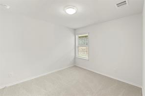 3262 Ribisl Lane - Photo 23