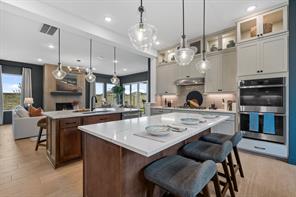 10129 Birchpoint Drive - Photo 8