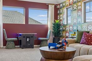 10137 Birchpoint Drive - Photo 17