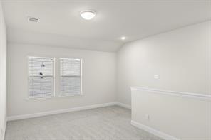 6221 DeLaCroix Drive - Photo 21